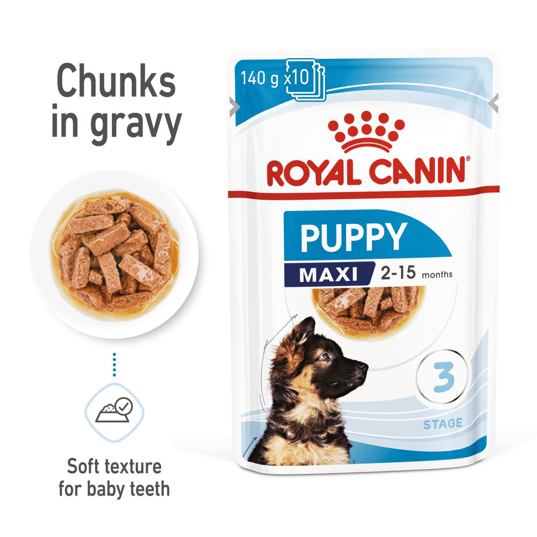 Royal Canin Maxi Puppy chunks in gravy, soft texture for baby teeth