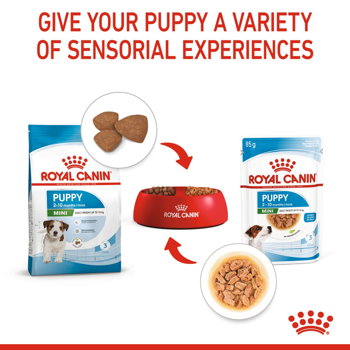 Royal Canin Mini Puppy dry and wet food for a variety of textures