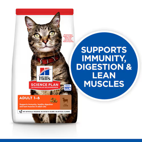 Hill's Science Plan Adult Dry Cat Food – Lamb