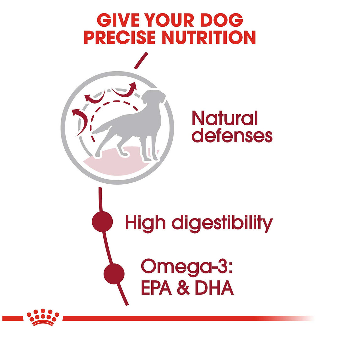 Royal Canin Medium Adult Dog Food - PetWorld