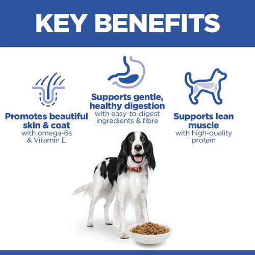 Hills Science Plan Medium Adult Dog Food with Chicken