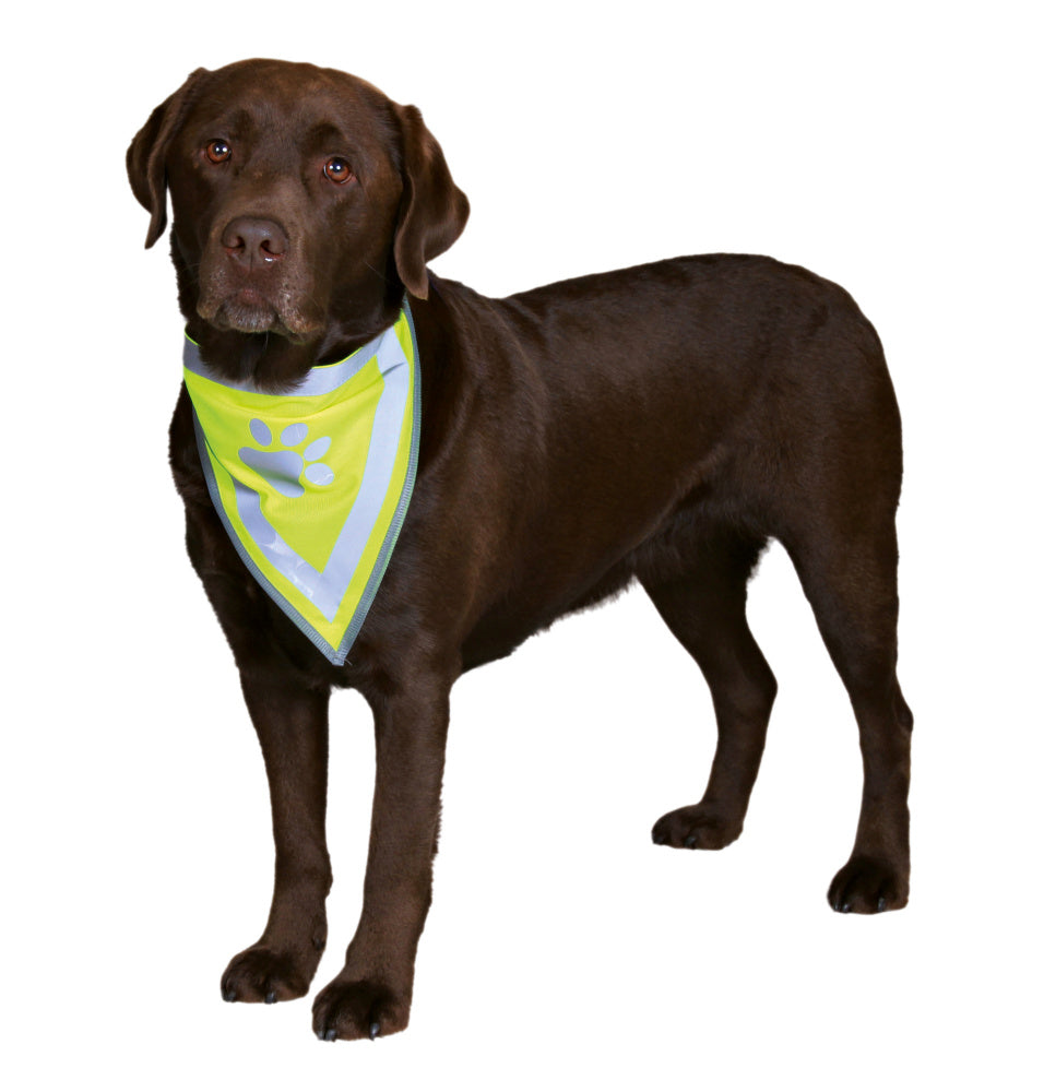 trixie neckerchief for dogs