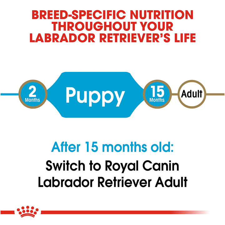 Royal Canin Junior Labrador Retriever - PetWorld