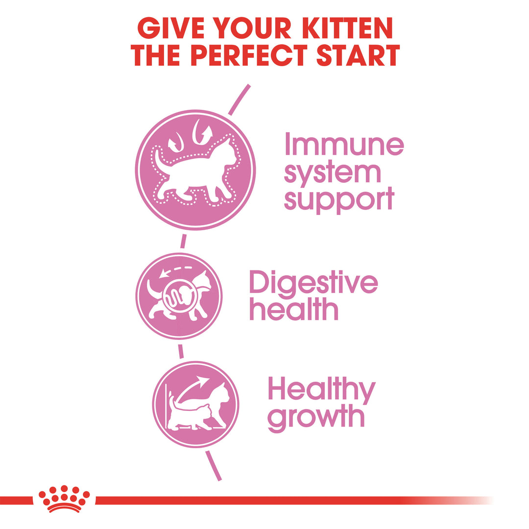 Royal Canin Kitten Dry Cat Food - PetWorld