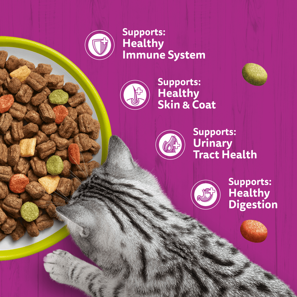 Whiskas Adult Lamb dry food supports immune system, skin and coat, urinary tract and digestion