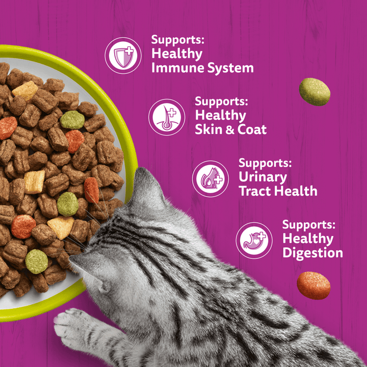 Whiskas Adult Lamb dry food supports immune system, skin and coat, urinary tract and digestion