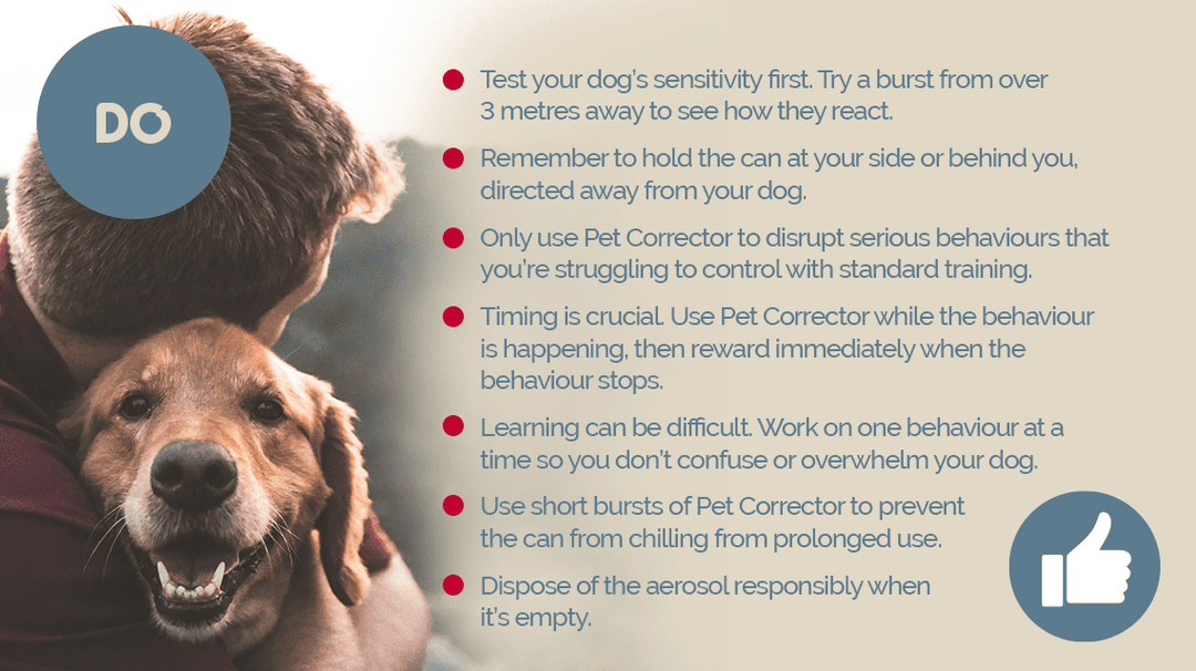 Pet Corrector dos: tips for using the spray correctly