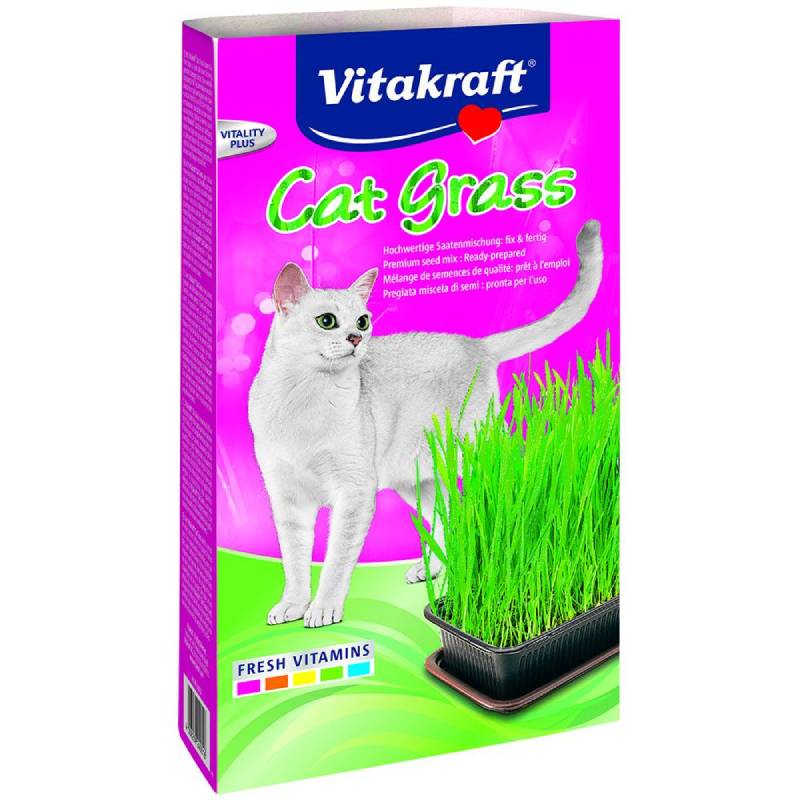 Vitakraft Cat Grass 120g premium seed mix box, front