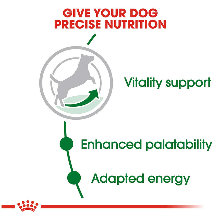 Royal Canin Mini 8+ Mature Dog Food - PetWorld