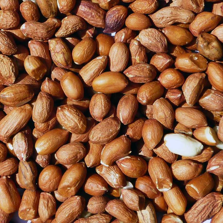Wild Bird Peanuts Petworld Ireland