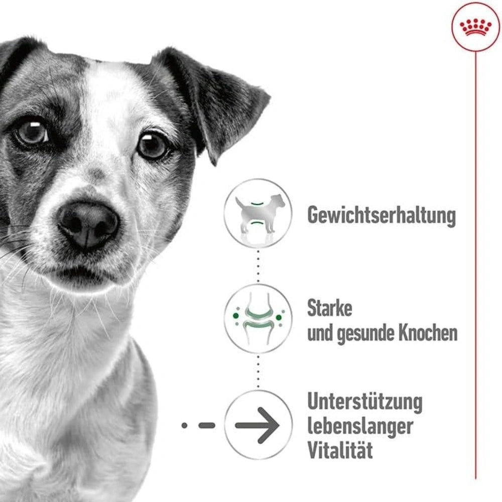 Royal Canin Mini Adult Wet Dog Food 12 x 85g pouch pack for small breed dogs