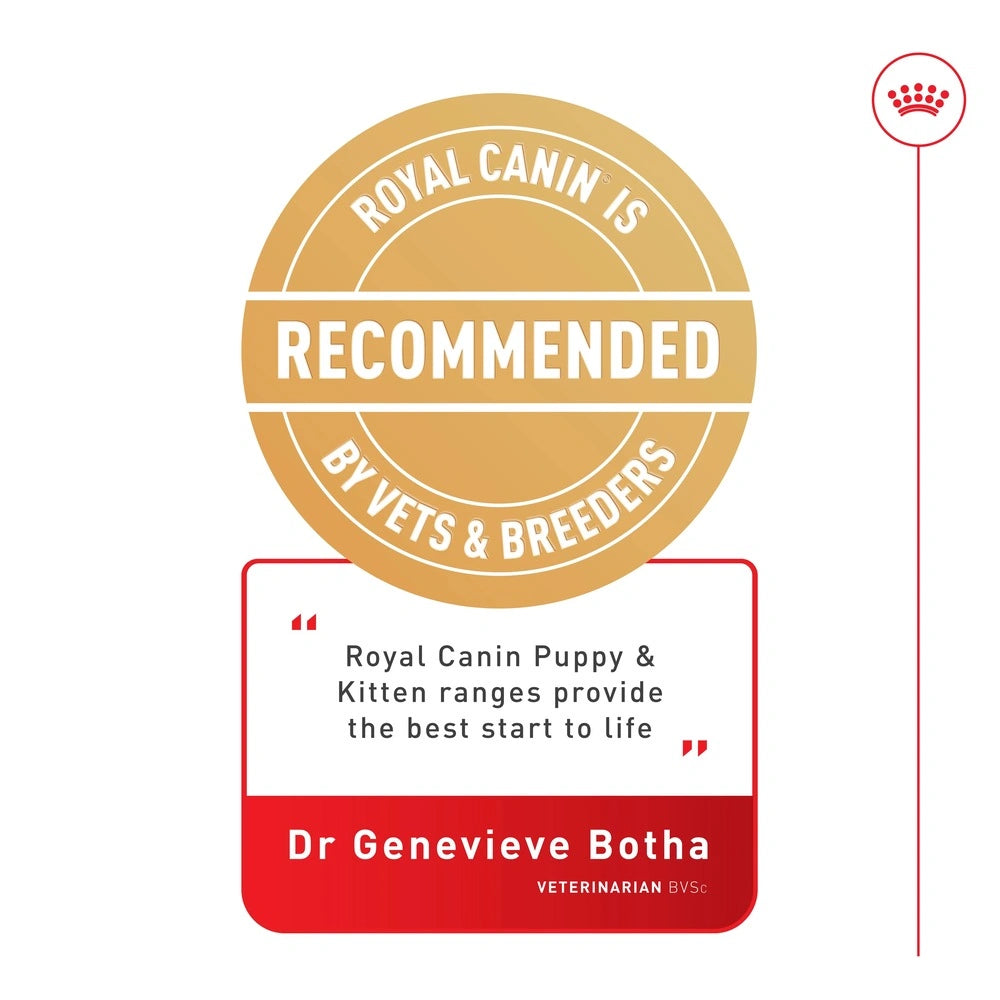 Royal Canin Babycat Instinctive Wet Food 195g – soft mousse for kittens and nursing queens.