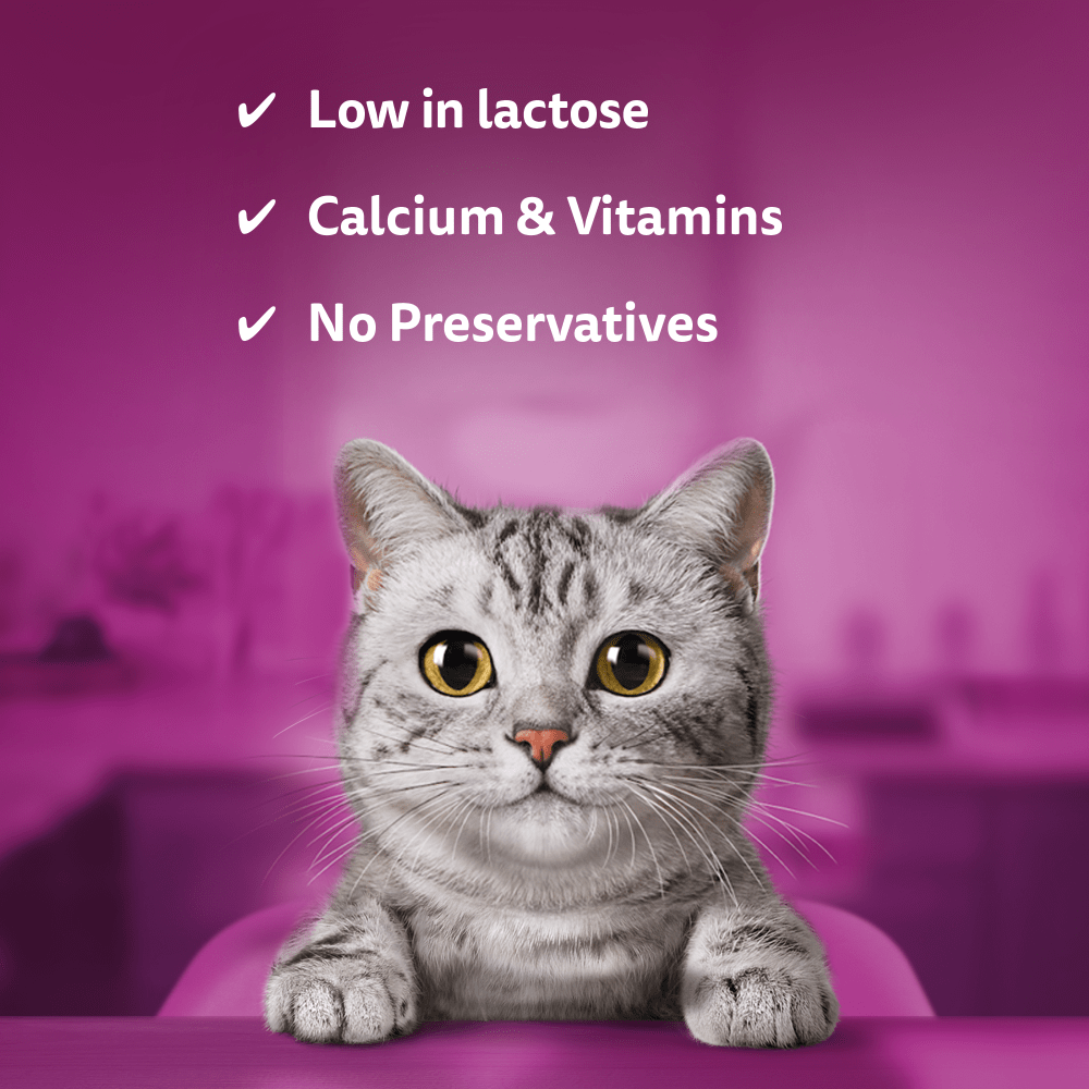 Whiskas Cat Milk is low in lactose with calcium and vitamins and no preservatives