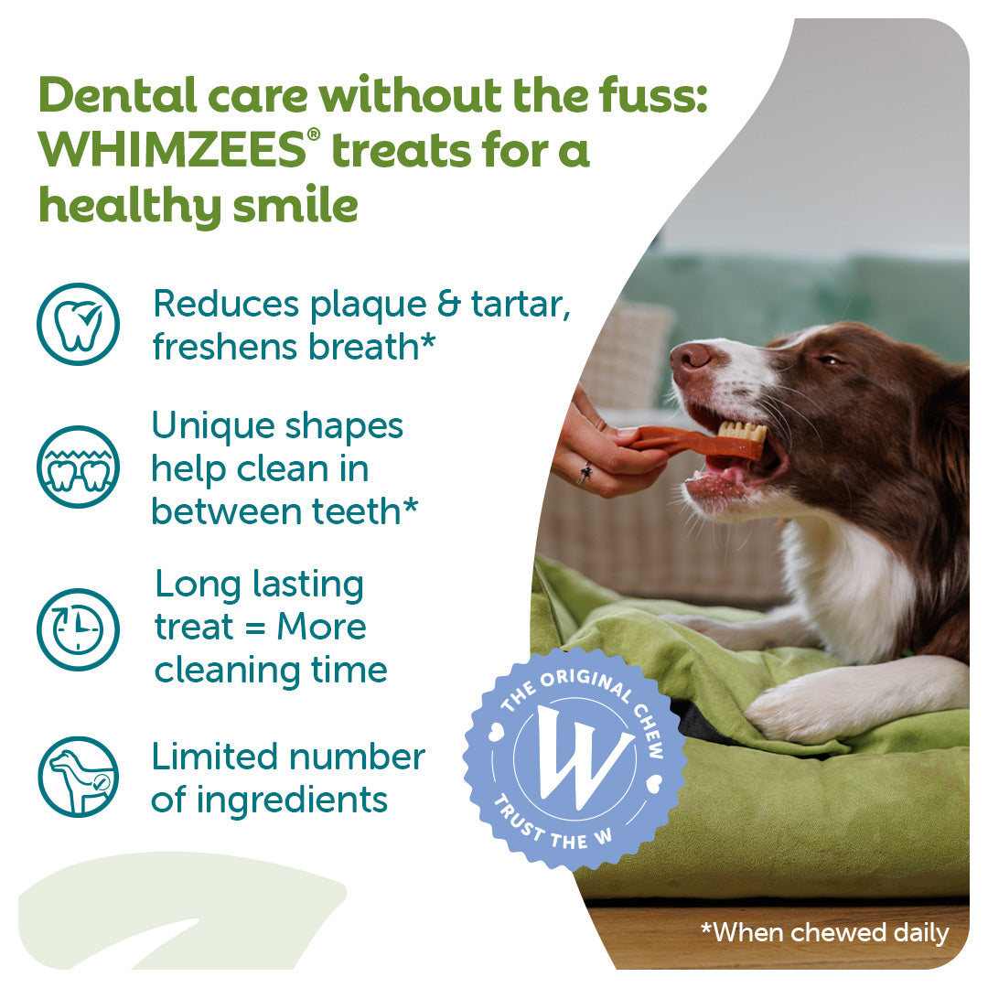 WHIMZEES Toothbrush benefits: reduces plaque and tartar, freshens breath, long lasting