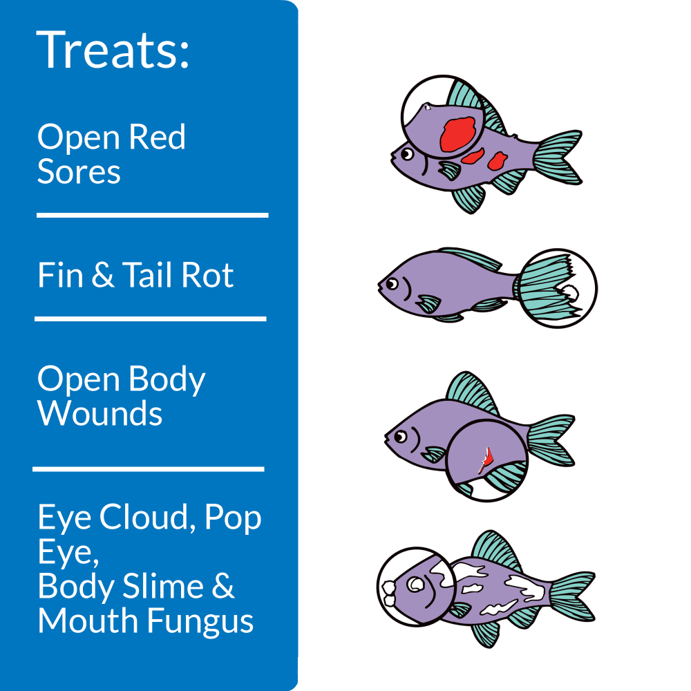 API Melafix treats open red sores, fin and tail rot, open body wounds, eye cloud, pop eye, body slime and mouth fungus
