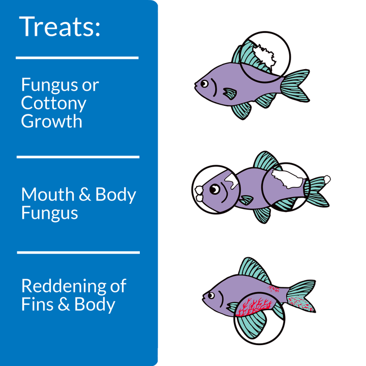 API Pimafix treats fungus or cottony growth, mouth and body fungus, and reddening of fins and body