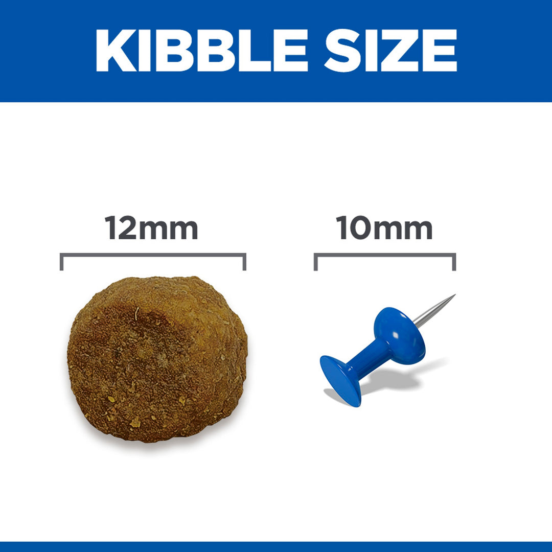 Hill's Mature Adult 7+ Medium lamb and rice kibble size, about 12mm
