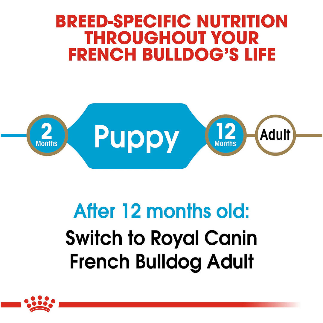 Royal Canin Junior French Bulldog - PetWorld